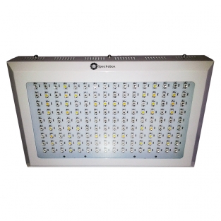 Led Spectrabox pro III 300W